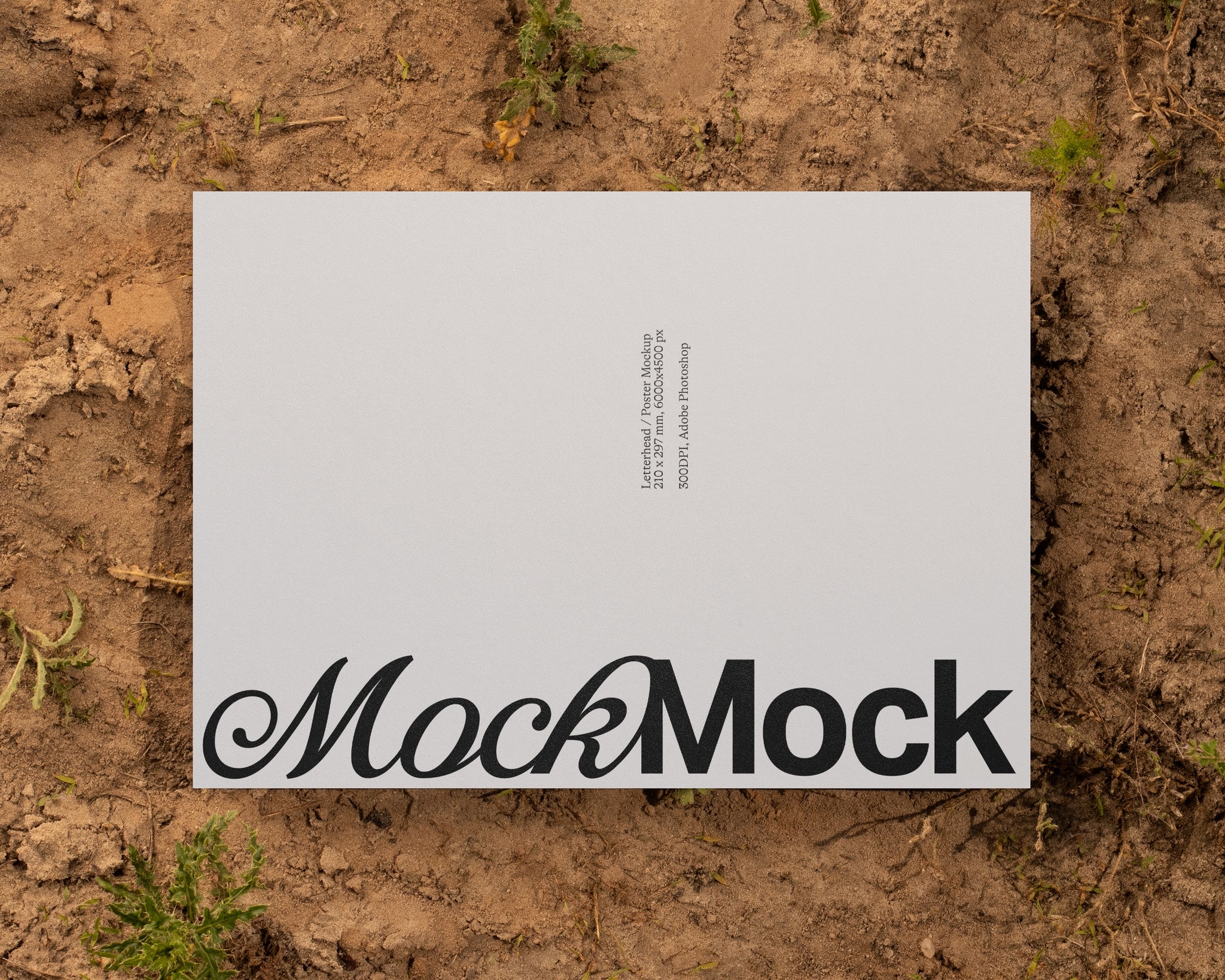 Branding Mockup Bundle 'Eco' - 5 Stationery Mockups